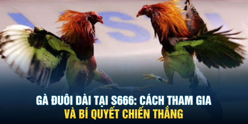 Gà Đuôi Dài Tại S666 - Cách Tham Gia Và Bí Quyết Chiến Thắng
