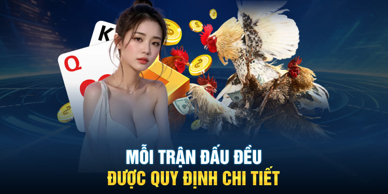 Mỗi trận đấu đều được quy định chi tiết 