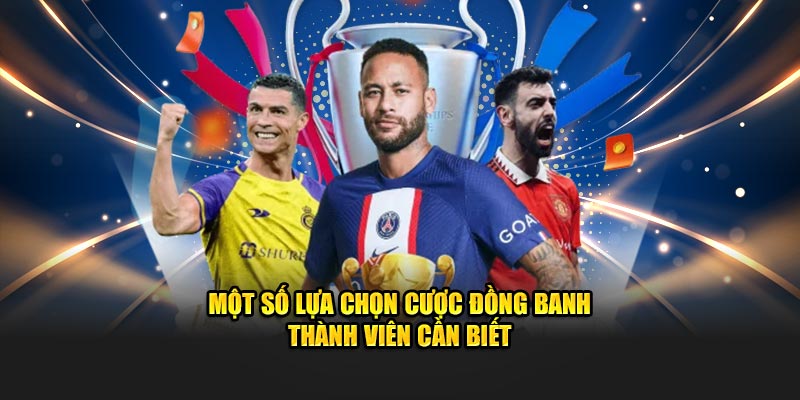 Một số lựa chọn cược đồng banh thành viên cần biết
