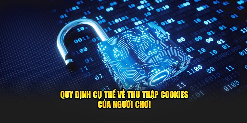 Quy định cụ thể về thu thập cookies của người chơi