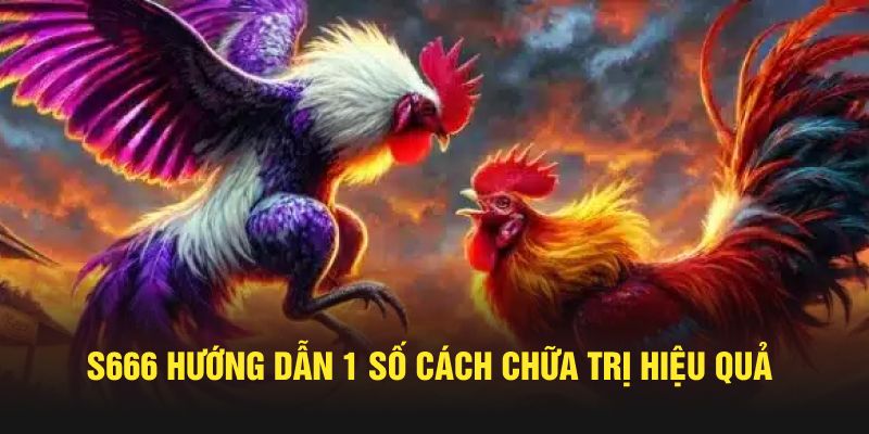S666 hướng dẫn 1 số cách chữa trị hiệu quả