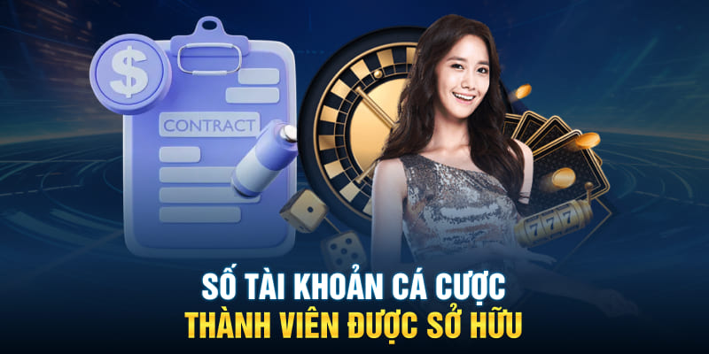 Số tài khoản cá cược thành viên được sở hữu