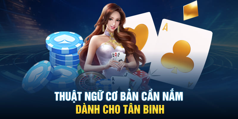 Thuật ngữ cơ bản cần nắm dành cho tân binh