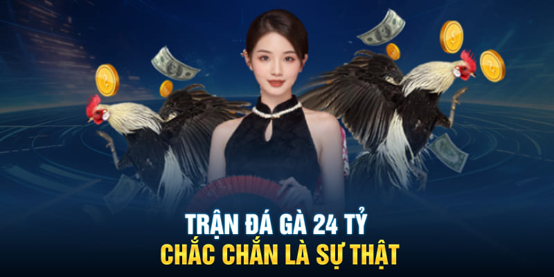 Trận đá gà 24 tỷ chắc chắn là sự thật 