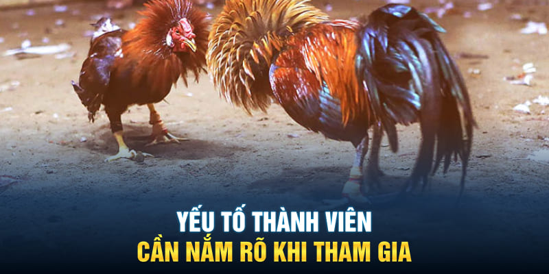 Yếu tố thành viên cần nắm rõ khi tham gia 